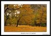 durgi > Yosemite, Oct 2004 photo