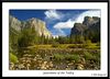 durgi > Yosemite, Oct 2004 photo