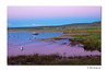 durgi > Yosemite, Mono Lake, Bodie - July 2006 photo